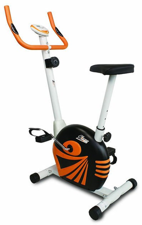 Rower stacjonarny treningowy magnetyczny B200 EBFIT 